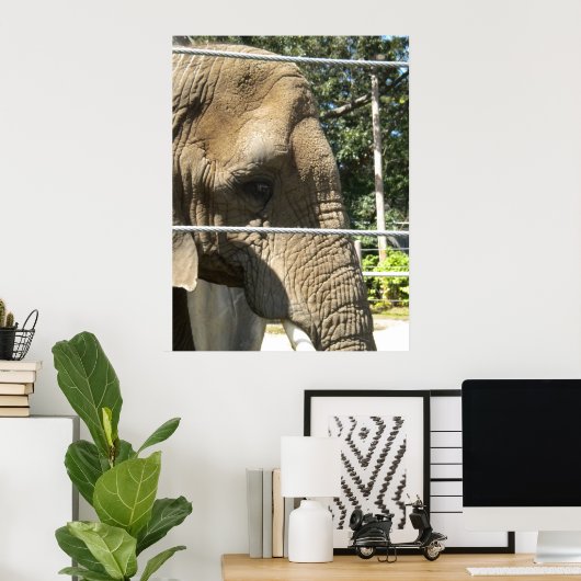 trauriger Elefant Poster (Heimbüro)