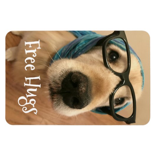 Trauriger Golden Retriever Hund mit gläseseitigen  Magnet (Horizontal)