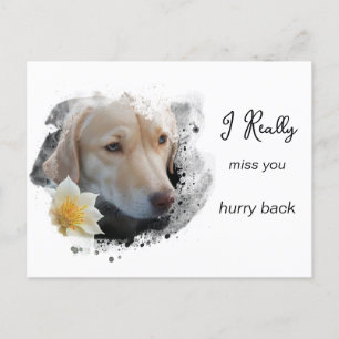 *~ Trauriger Hund AP61 Blume Vermisst Dich Beeile  Postkarte