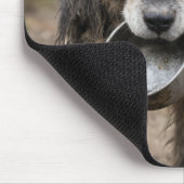 Trauriger Hund mit leerer Wasserschüssel Mousepad (Ecke)