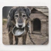 Trauriger Hund mit leerer Wasserschüssel Mousepad (Vorne)