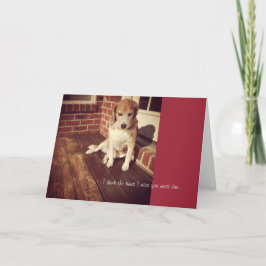 Trauriger Hund vermisst, du Karte