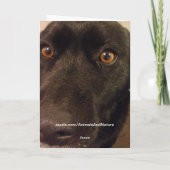 Trauriger Hundeglückliche Adoptions-Tageskarte Karte (Rückseite)