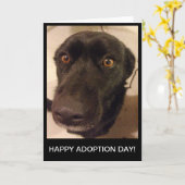 Trauriger Hundeglückliche Adoptions-Tageskarte Karte (Gelbe Blume)