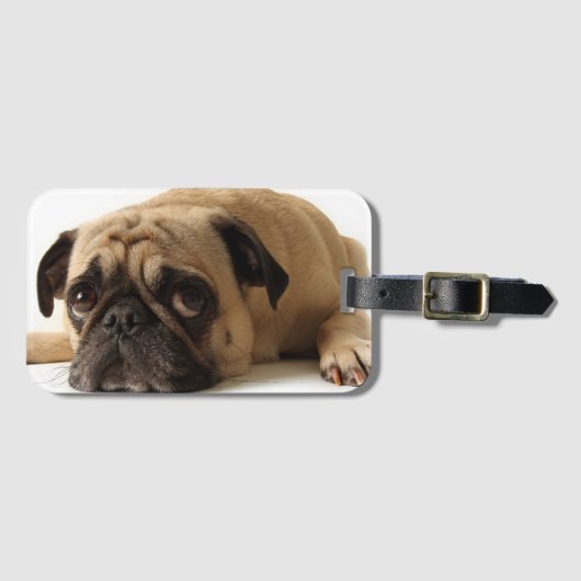 Trauriger Mops Gepäckanhänger (Vorderseite (Horizontal))