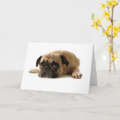 Trauriger Mops Karte (Gelbe Blume)