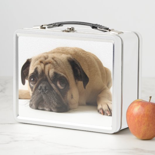 Trauriger Mops Metall Brotdose (Beispiel)