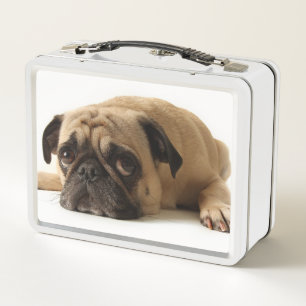 Trauriger Mops Metall Brotdose