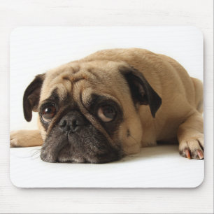 Trauriger Mops Mousepad