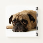 Trauriger Mops Notizblock (Rückseite)