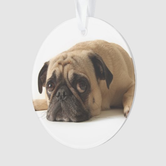 Trauriger Mops Ornament (Vorderseite)