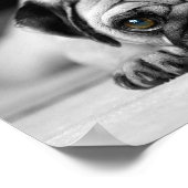 Trauriger Mops Poster (Ecke)