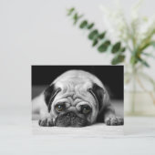 Trauriger Mops Postkarte (Stehend Vorderseite)