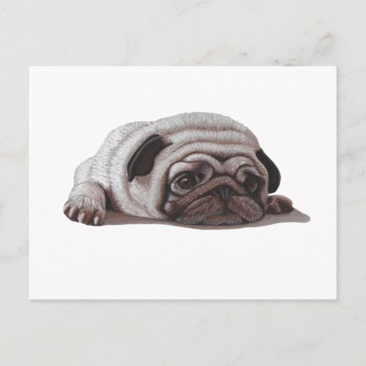 Trauriger Mops Postkarte (Vorderseite)