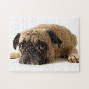 Trauriger Mops Puzzle
