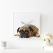 Trauriger Mops Quadratische Wanduhr (Zuhause)