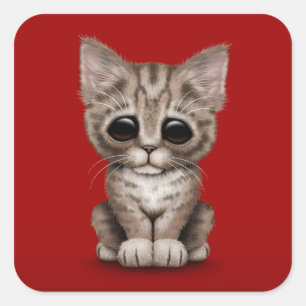 Trauriger Niedlicher Brown Tabby Kitten Cat Red Quadratischer Aufkleber