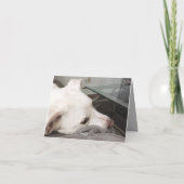 Trauriger Niedlicher Weißer Hund Entschuldigung fü Karte (Rückseite)