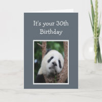 Trauriger Panda Bär 30. Dreißig Glücklicher Geburt