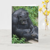 Trauriger Schimpanse Miss You Karte (Gelbe Blume)