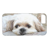 Trauriger Shih Tzu stellen gegenüber Case-Mate iPhone Hülle (Rückseite (Horizontal))