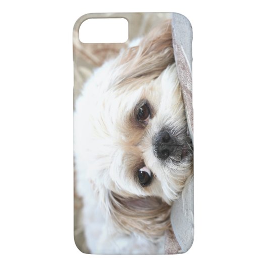 Trauriger Shih Tzu stellen gegenüber Case-Mate iPhone Hülle (Rückseite)