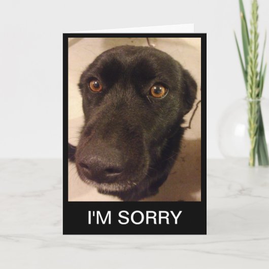Trauriger Tag, an dem ich Entschuldigung habe Karte (Vorderseite)