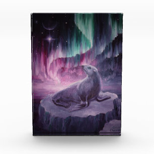 Trauriges einsames Siegel Fotoblock