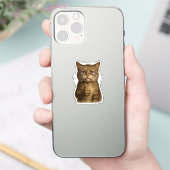 Trauriges Kitty Daumen Hoch Meme Aufkleber (Telefon)