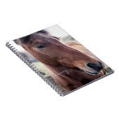 TRAURIGES PFERD NOTIZBLOCK (Rechte Seite)