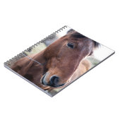 TRAURIGES PFERD NOTIZBLOCK (Linke Seite)