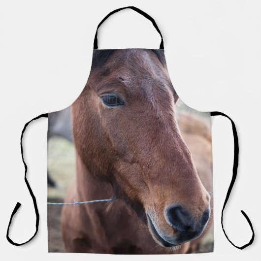 TRAURIGES PFERD SCHÜRZE (Vorderseite)
