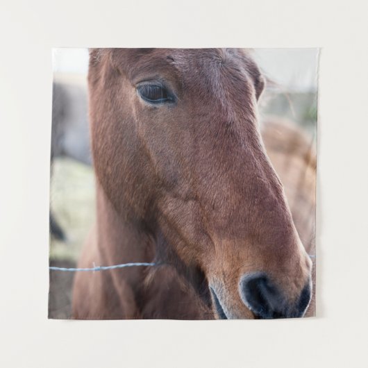 TRAURIGES PFERD WANDTEPPICH (Vorderseite)