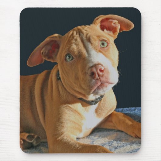 Trauriges Welpen-Pitbull-Hundehündchen Mousepad (Vorne)