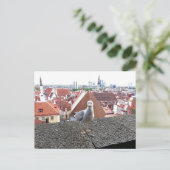 Travel photo. Estonia, Tallinn Postkarte (Stehend Vorderseite)