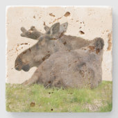Travertinstein Untersetzer mit Elch (Vorderseite)