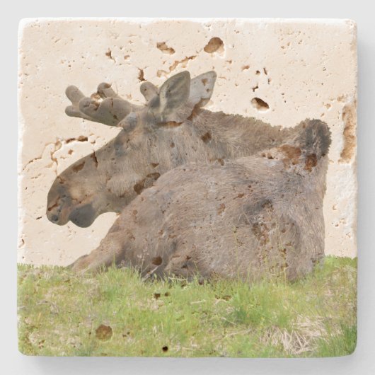 Travertinstein Untersetzer mit Elch (Vorderseite)