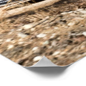 Travis Pastrana im 100 Acre Wood Poster (Ecke)