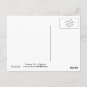 TreasFalls - Colorado - Postkarte (Rückseite)