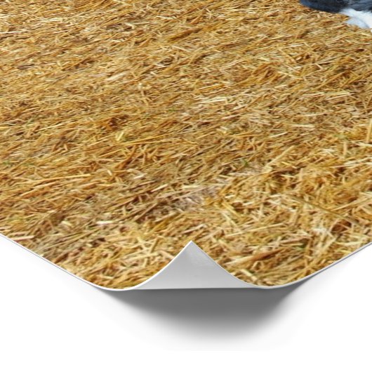 Trecker Poster (Ecke)