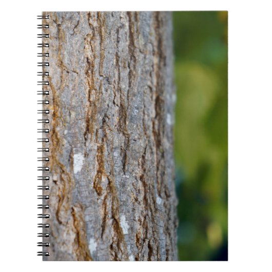 Tree Τrunk Foto Spiral Notebook Notizblock (Vorderseite)
