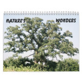 Tree-02, NATUR, WUNDERT sich Kalender (Titelbild)