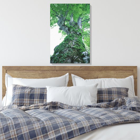 Tree 89 Stretched Canvas Print Leinwanddruck (Insitu (Schlafzimmer))