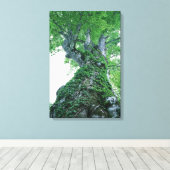 Tree 89 Stretched Canvas Print Leinwanddruck (Insitu (Holzboden))