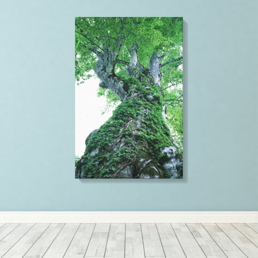 Tree 89 Stretched Canvas Print Leinwanddruck (Insitu (Holzboden))
