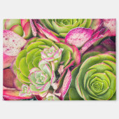 Tree Aeonium Magnet (Vorderseite)