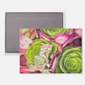 Tree Aeonium Magnet (Vorderseite/Rückseite)