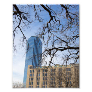Tree and Tall Gebäude, Dallas, Texas Fotodruck