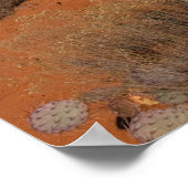 Tree at Courthouse Butte 2016 Poster (Ecke)