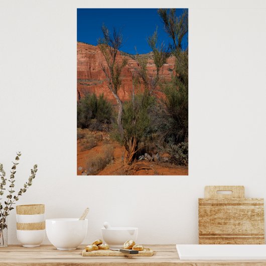 Tree at Courthouse Butte 2016 Poster (Küche)